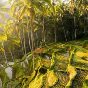 10-Night Indonesia Flight & Hotel Vacation: From $1,399 per person