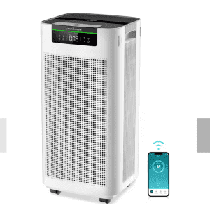 Jafända Air Purifier: $198