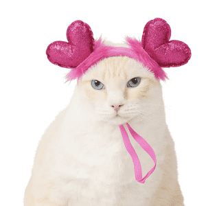 PetSmart Valentine's Day Shop: Up to 50% off