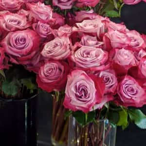 24-Count Longstem Rose Valentine's Bouquet: $18