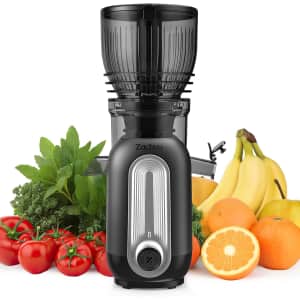 Zachvo 300W Slow-Masticating Cold Press Juicer: $58.79 Zachvo 300W Slow-Masticating Cold Press Juicer: $58.79