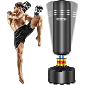 Dripex Freestanding Boxing Bag: $114