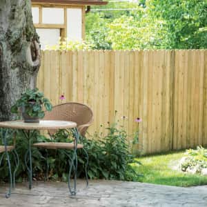 Severe Weather 6-ft. Pressure Treated Dog-Ear Fence Picket: $2 Severe Weather 6-ft. Pressure Treated Dog-Ear Fence Picket: $2