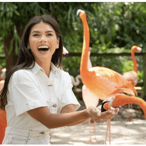 Outdoor Activity Deals at Groupon: Up to 60% off + extra 20% off Outdoor Activity Deals at Groupon: Up to 60% off + extra 20% off