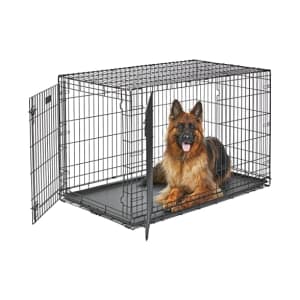 Pretty Popular Pet Products at Woot: Up to 79% off