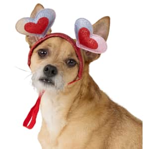 PetSmart Dog Clearance: Up to 60% off + extra 20% off PetSmart Dog Clearance: Up to 60% off + extra 20% off