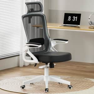 Zelimon Adjustable Ergonomic Office Chair: $59.99