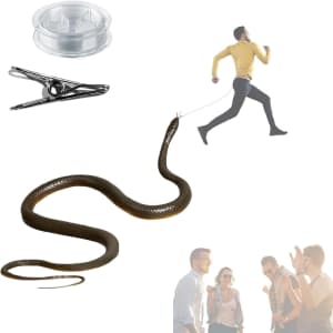 Snake Prank with String Clip: $9.99