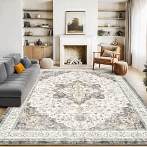 Marsail 8x10-Foot Area Rug: $39