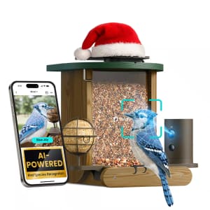 Birdfy Smart Bird Feeder: $110