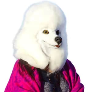 Poodle Head Face Costume: $22