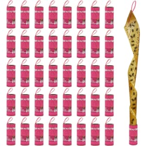 Fly Trap 40-Pack: $7.49 Fly Trap 40-Pack: $7.49