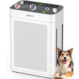 Double-Sided Air Purifier for Home Large Room up to 3000sq.ft: $50 w/ Prime