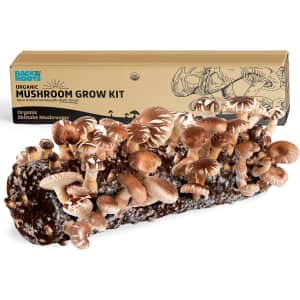 Back to the Roots Mushroom Growing Kits: Up to 21% off Back to the Roots Mushroom Growing Kits: Up to 21% off