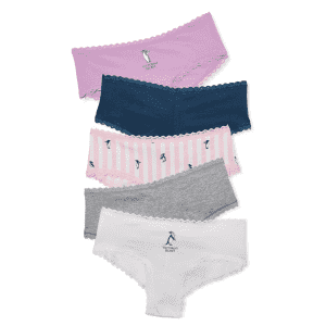 Victoria's Secret Semi-Annual Panty Sale: 5 pairs for $20
