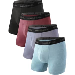 Bamboo Cool Men's Ultra Breathable Boxer Brief 4-Pack: From $31 w/ Prime