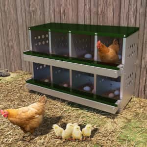 Garvee 8-Compartment Metal Nesting Box: $75.99 Garvee 8-Compartment Metal Nesting Box: $75.99