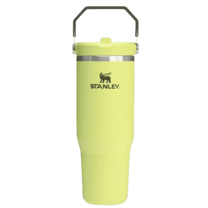 Stanley 30-oz. IceFlow Flip Straw Tumbler: $20