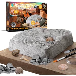 Discovery Mindblown Colossal Fossil Dig 15-Piece Excavation Kit: $8.64