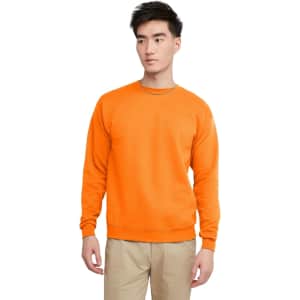 Hanes Men's EcoSmart Fleece Sweatshirt: $6.79