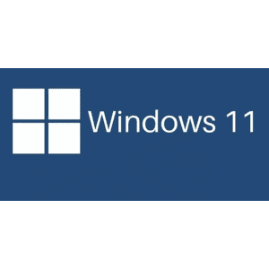 Microsoft Windows 11 Professional and Home: $9