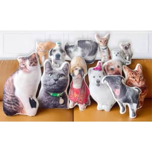 Custom 3D Pet Photo Pillow at Groupon: $11 Custom 3D Pet Photo Pillow at Groupon: $11