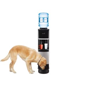 Primo Deluxe Freestanding Water Dispenser with Pet Station: $100