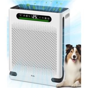 Air Purifier for Large Rooms Up to 2600 Sq. Ft.: $49 w/ Prime