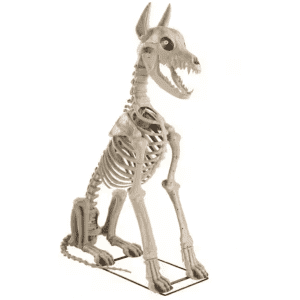 Home Accents Holiday 5ft. Grave & Bones Sitting Dog w/ LCD Eyes: $63