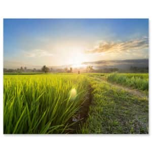 Same Day Photo Panels at CVS: 60% off Same Day Photo Panels at CVS: 60% off