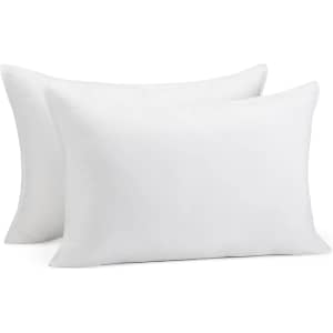 Amazon Basics Queen Down Alternative Pillow 2-Pack: $8.40 Amazon Basics Queen Down Alternative Pillow 2-Pack: $8.40