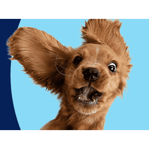 Petco January In-Store Weekend Events: Free tastings and more