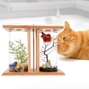 Tucker Murphy Aquarium and Fishbowl Deals at Wayfair: Up to 62% off Tucker Murphy Aquarium and Fishbowl Deals at Wayfair: Up to 62% off