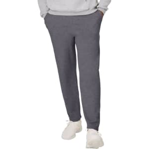 Hanes Men's EcoSmart Best Sweatpants: $4.57