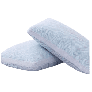 Memory Foam Pillow 2-Pack: $20