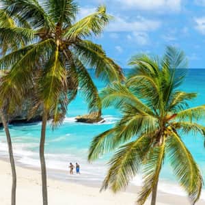 Panache Cruises 8-Night Caribbean Cruise in November: From $2,907 per person Panache Cruises 8-Night Caribbean Cruise in November: From $2,907 per person