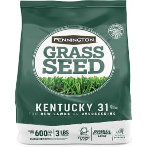 Pennington Kentucky 31 Tall Fescue Penkoted Grass Seed 3-lb. Bag: $5.83