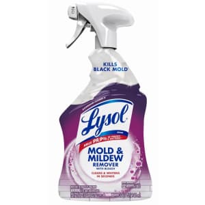 Lysol Mold & Mildew Remover 32-oz. Spray: $2.61 via Sub. & Save