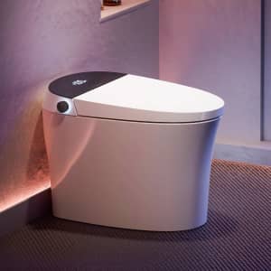 Canest Smart Bidet Toilet: $538.20