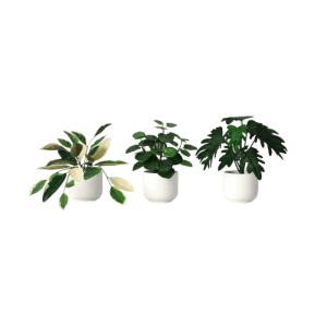 Room Essentials Core Plant Multipack: $7 Room Essentials Core Plant Multipack: $7