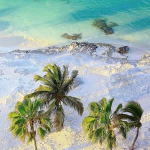 Cunard 9-Night 185th Anniversary Celebration Caribbean Cruise: From $839 per person