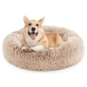 Woot Holiday Pet Deals: Up to 78% off + extra 10% off Woot Holiday Pet Deals: Up to 78% off + extra 10% off