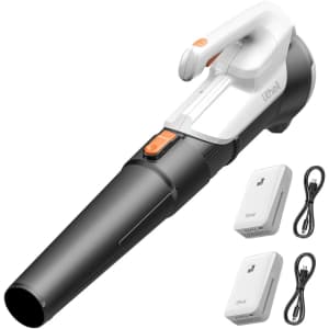 Litheli 20V Cordless Leaf Blower w/ 2 Batteries: $49.99