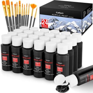 Caliart Black Acrylic Paint Bottle 24-Pack w/ 12 Brushes: $9.99 Caliart Black Acrylic Paint Bottle 24-Pack w/ 12 Brushes: $9.99