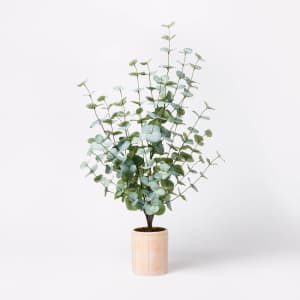 Large Artificial Eucalyptus Plant in Pot: $15 Large Artificial Eucalyptus Plant in Pot: $15