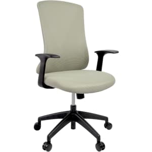 FlexiSpot Ergonomic Office Chair for $99
