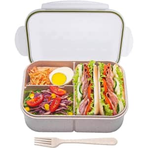 Miss Big Large Bento Box for $14