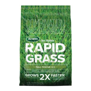 Scotts Turf Builder Rapid Grass Tall Fescue Mix 16-lb. Bag for $20