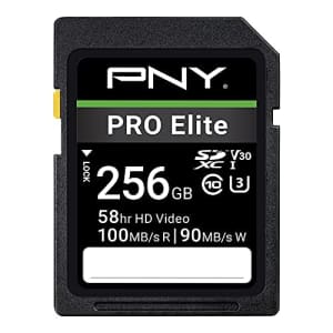 PNY 256GB PRO Elite Class 10 U3 V30 SDXC Flash Memory Card - 100MB/s, Class 10, U3, V30, 4K UHD, for $20 PNY 256GB PRO Elite Class 10 U3 V30 SDXC Flash Memory Card - 100MB/s, Class 10, U3, V30, 4K UHD, for $20