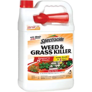 Spectracide 1-Gallon Weed & Grass Killer Sprayer for $6